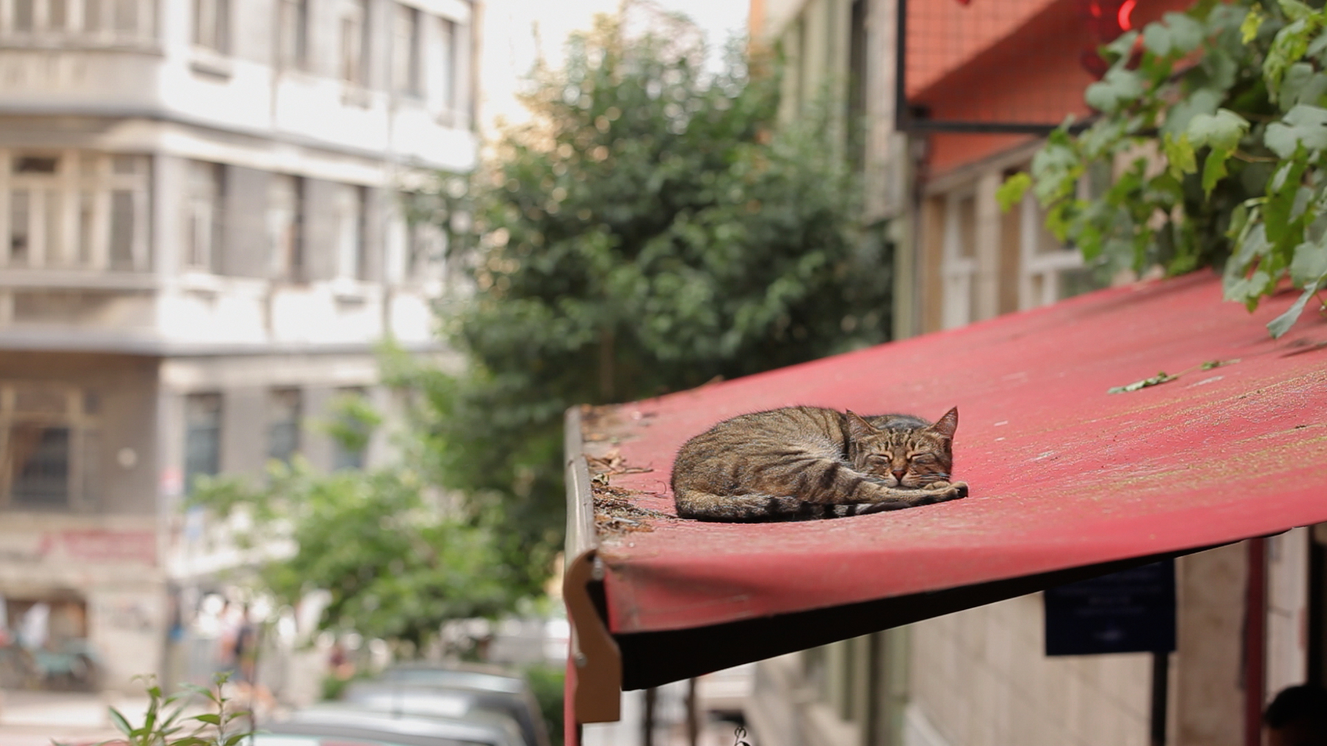 A scene from KEDI.